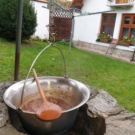 Sziget Appartement Kőszeg